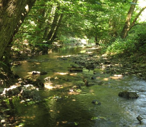 11082025BurgenmitBaybachtal062