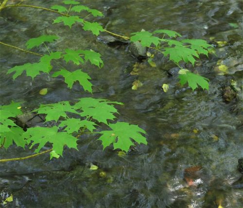 11082025BurgenmitBaybachtal065
