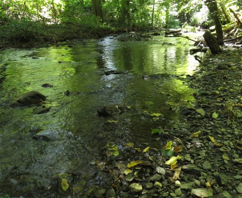 11082025BurgenmitBaybachtal066