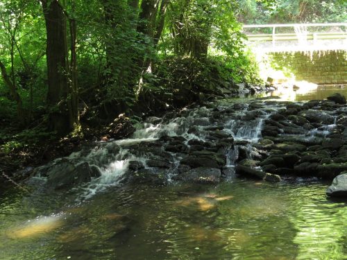 11082025BurgenmitBaybachtal068