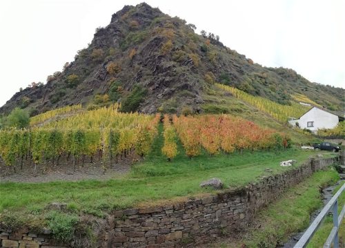 17102025AlkenBurgThurant-001a