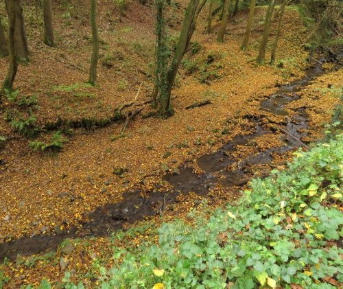 17102025AlkenBurgThurant-004