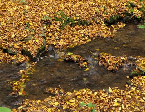 17102025AlkenBurgThurant-005