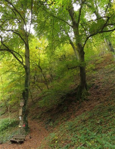 17102025AlkenBurgThurant-006