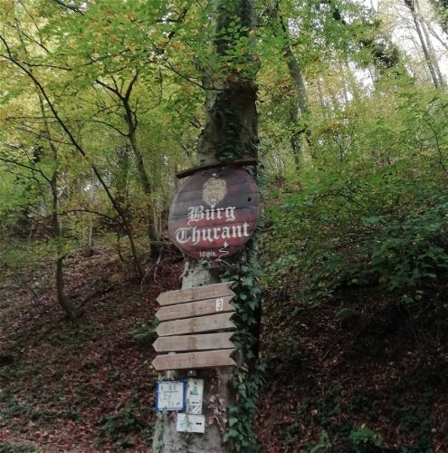 17102025AlkenBurgThurant-006a