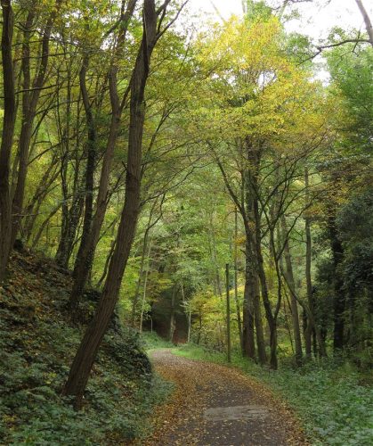 17102025AlkenBurgThurant-007