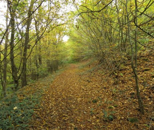 17102025AlkenBurgThurant-008