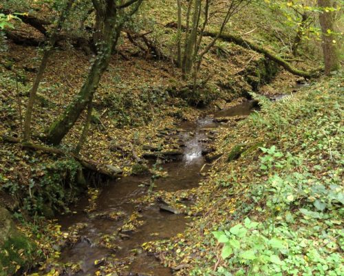 17102025AlkenBurgThurant-010