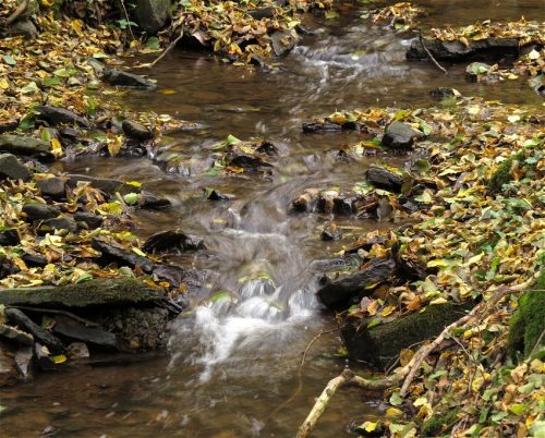 17102025AlkenBurgThurant-011