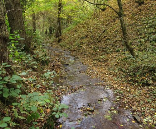 17102025AlkenBurgThurant-012