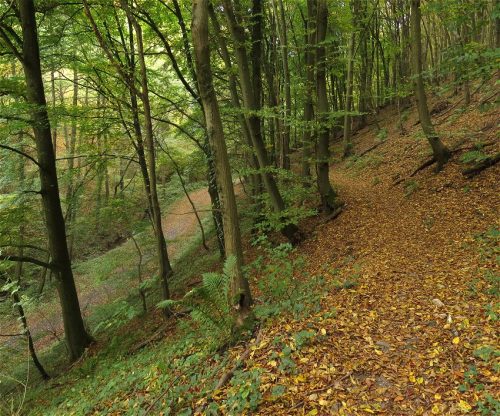 17102025AlkenBurgThurant-013