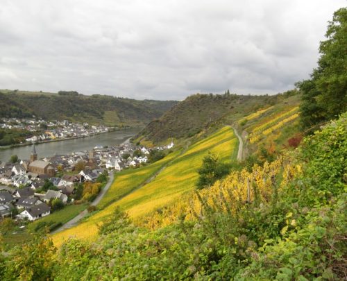 17102025AlkenBurgThurant-014