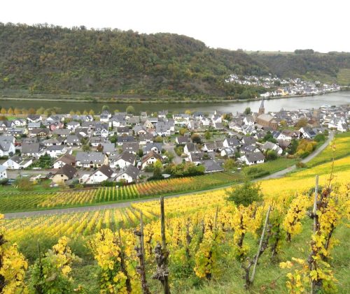 17102025AlkenBurgThurant-023