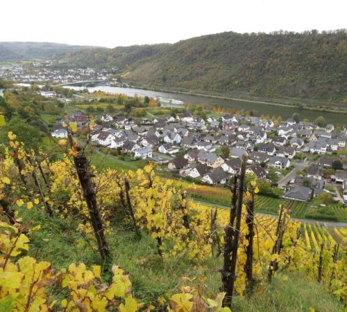 17102025AlkenBurgThurant-025