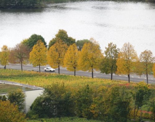 17102025AlkenBurgThurant-026