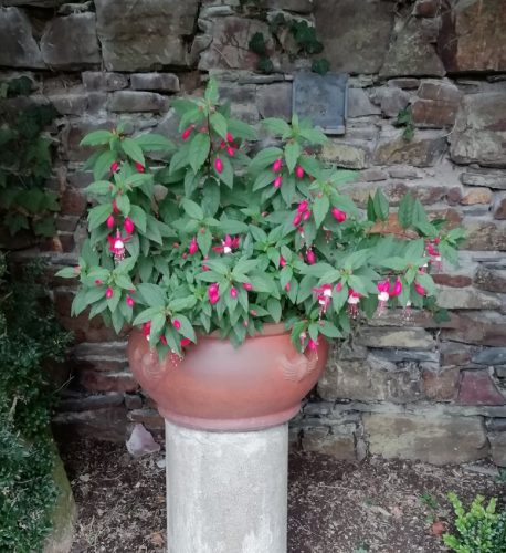 17102025AlkenBurgThurant-053c