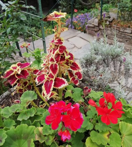 17102025AlkenBurgThurant-053d