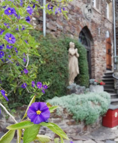 17102025AlkenBurgThurant-053e