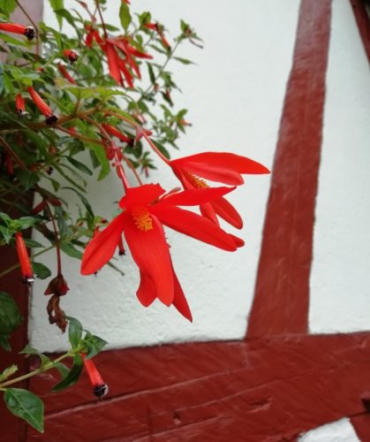 17102025AlkenBurgThurant-053j