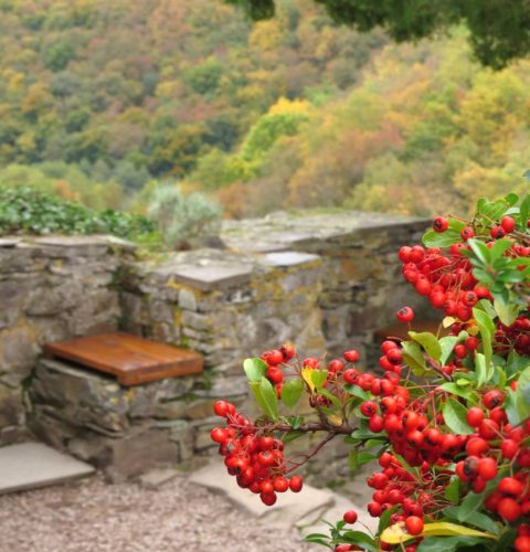 17102025AlkenBurgThurant-057