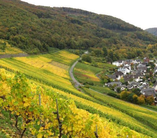 17102025AlkenBurgThurant-063