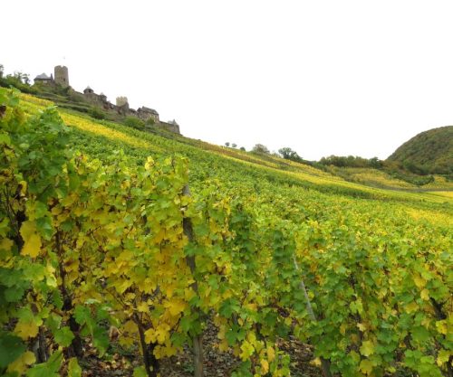 17102025AlkenBurgThurant-065