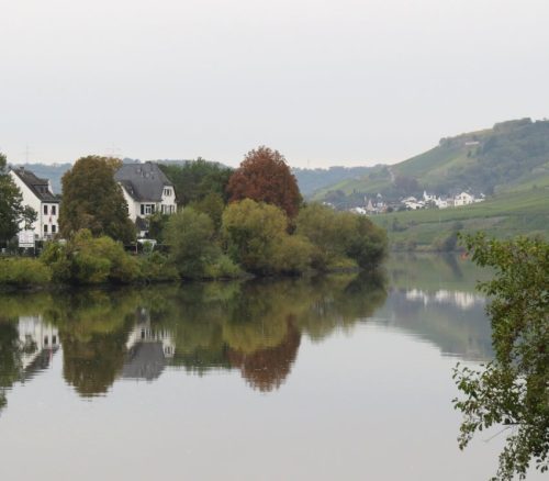 HerbstfarbenMosel06 03102025-007