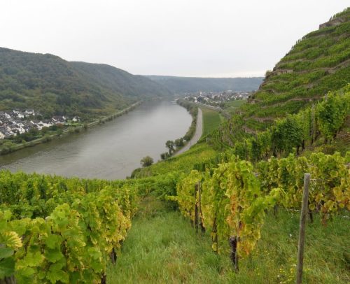 HerbstfarbenMosel06 03102025-011