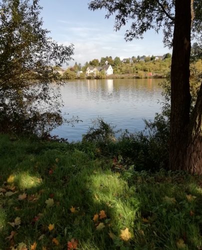 HerbstfarbenMosel07 05102025-001