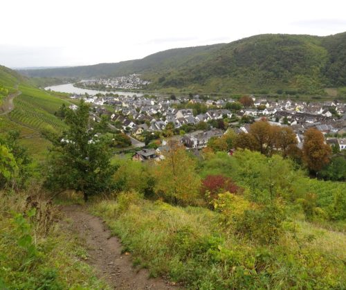 HerbstfarbenMosel08 06102025-003