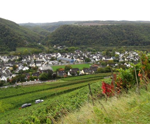 HerbstfarbenMosel08 06102025-004