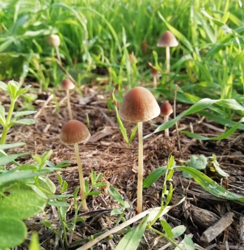 HerbstfarbenMosel09 09102025-003