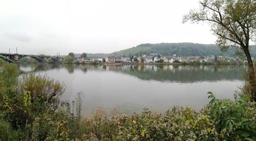 HerbstfarbenMosel10 11102025-001