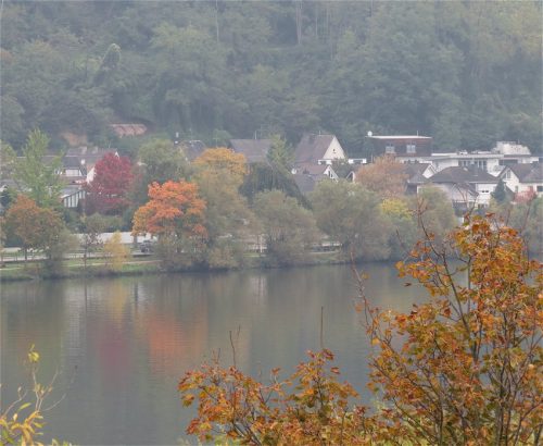 HerbstfarbenMosel10 11102025-002