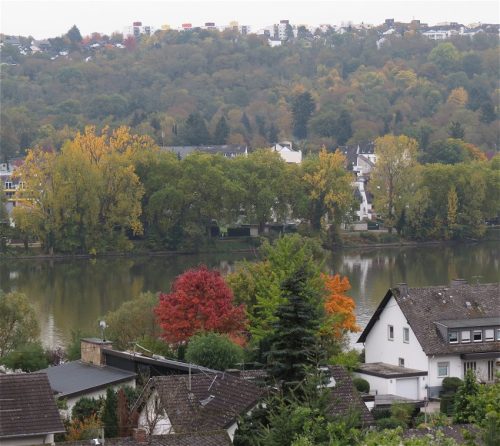HerbstfarbenMosel11 12102025-002