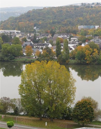 HerbstfarbenMosel11 12102025-005