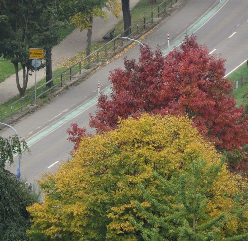 HerbstfarbenMosel11 12102025-007