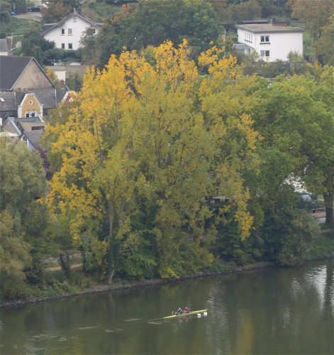 HerbstfarbenMosel11 12102025-008