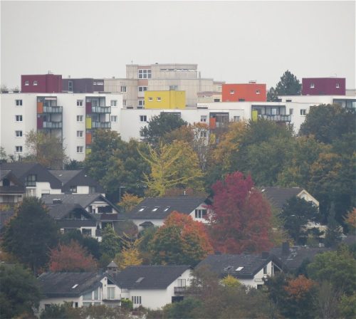 HerbstfarbenMosel11 12102025-013