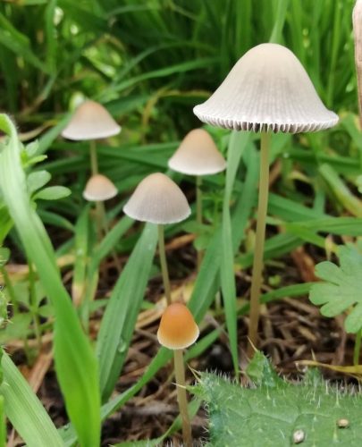 HerbstfarbenMosel11 12102025-022