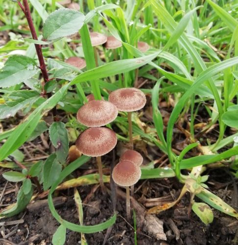 HerbstfarbenMosel11 12102025-024