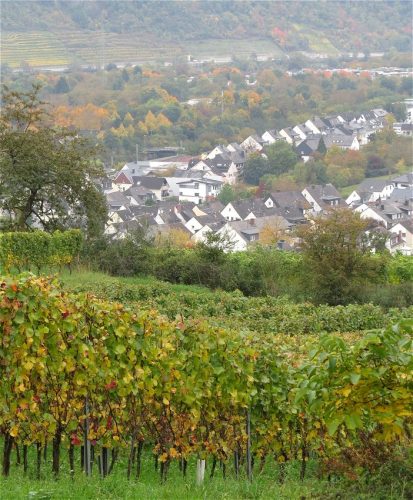 HerbstfarbenMosel11 12102025-025
