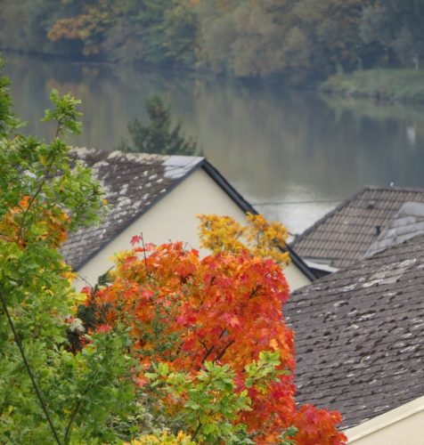 HerbstfarbenMosel11 12102025-032