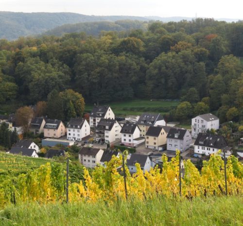 HerbstfarbenMosel12 14102025-002