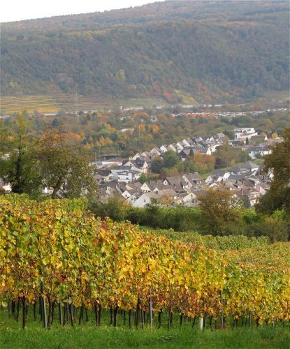 HerbstfarbenMosel12 14102025-003