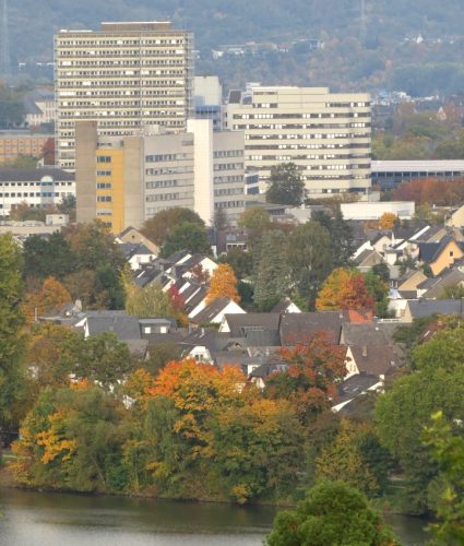 HerbstfarbenMosel12 14102025-005