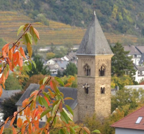 HerbstfarbenMosel12 14102025-008