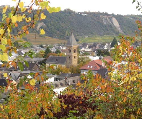 HerbstfarbenMosel12 14102025-009