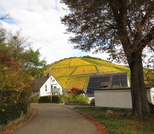 HerbstfarbenMosel13 18102025-005