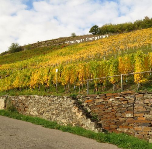 HerbstfarbenMosel13 18102025-006